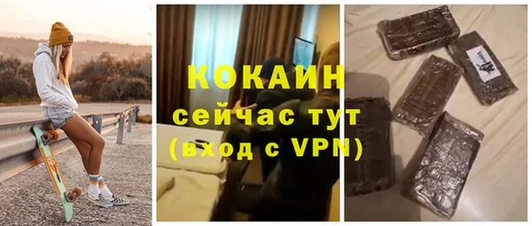 сатива Кулебаки