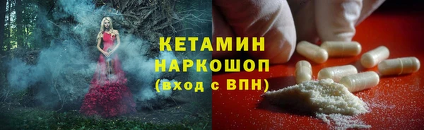 сатива Кулебаки