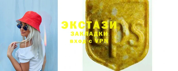 сатива Кулебаки