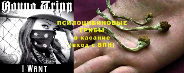сатива Кулебаки