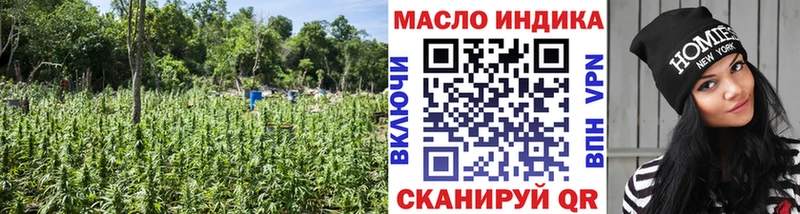 Купить где  Раменское  ТГК Wax 